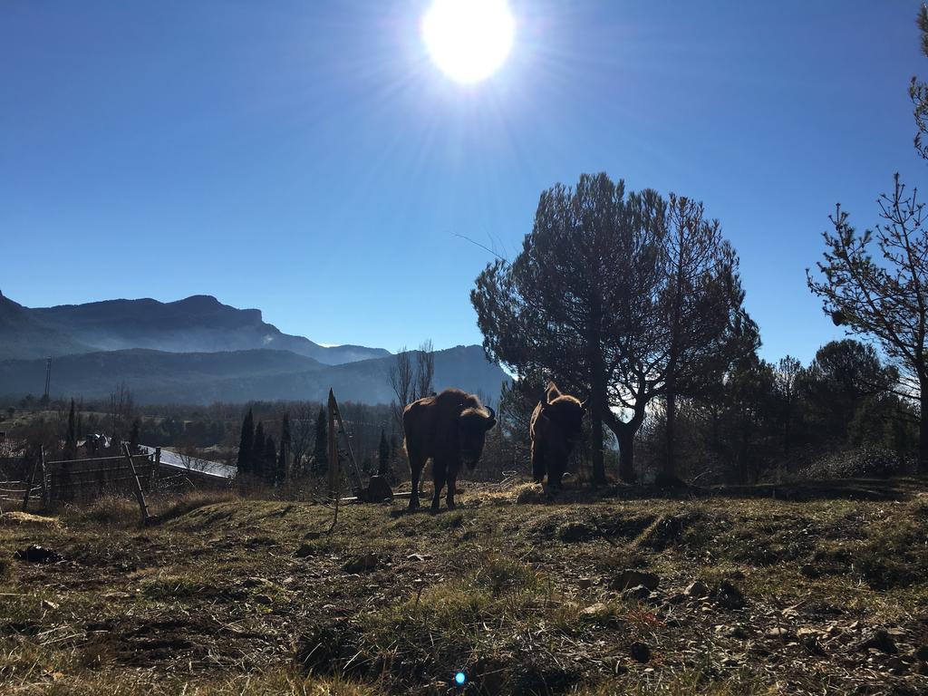 El Jou Nature Sant Corneli Exterior foto