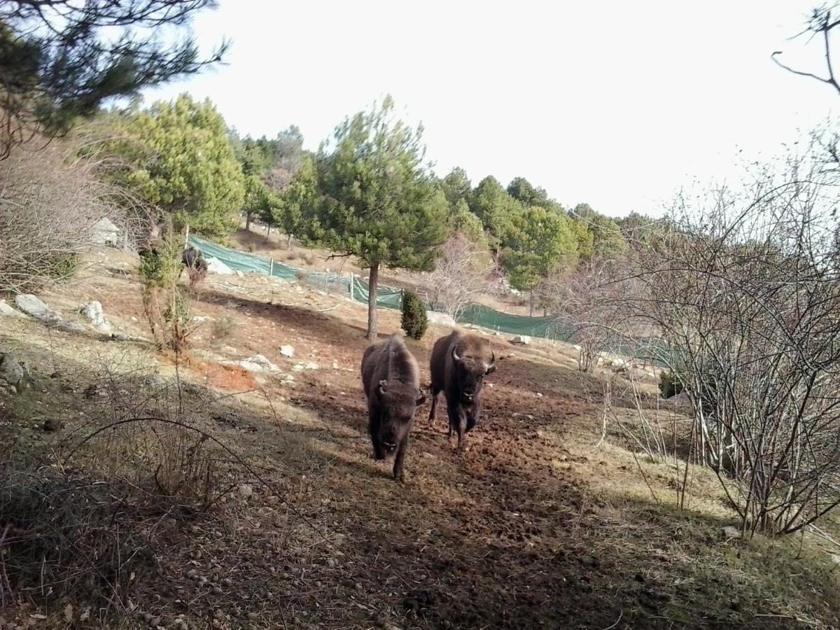 El Jou Nature Sant Corneli Exterior foto